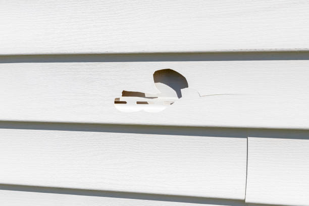Siding Removal and Disposal in Reidsville, GA